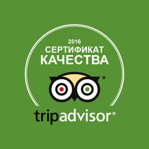  ..       TripAdvisor 2016 